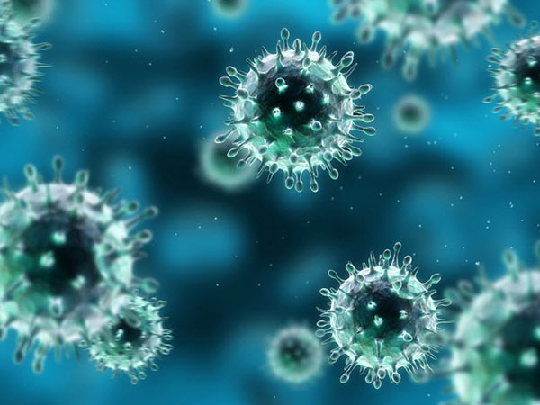 microscopic image of the common flu  virus