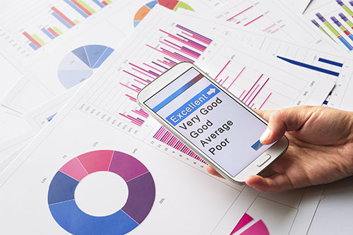 an array of survey data tables and charts